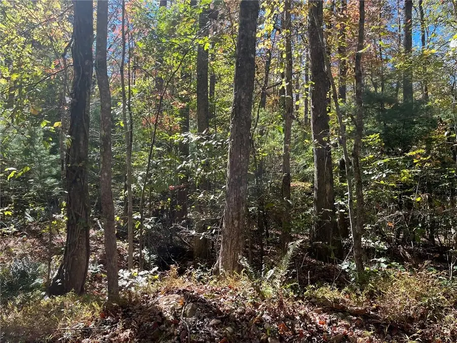 0 Little Mountain Road, Dahlonega, GA 30533 - #3