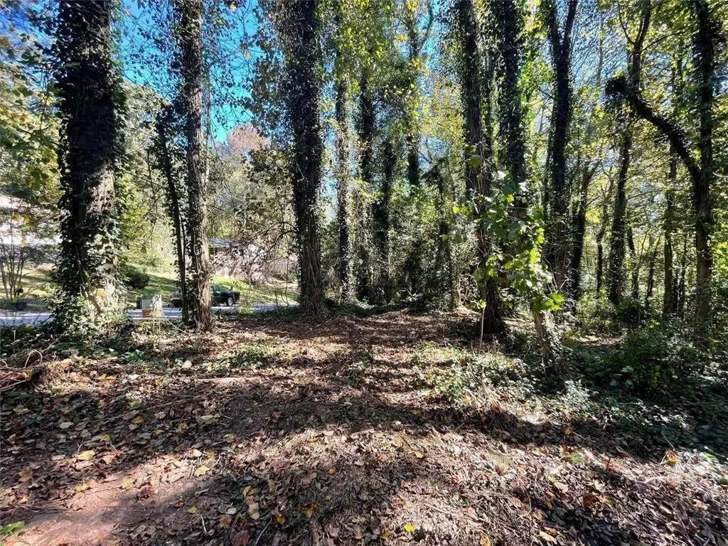1060 De Leon Drive, Clarkston, GA 30021 - #1