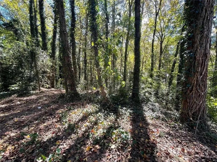 1060 De Leon Drive, Clarkston, GA 30021 - #3