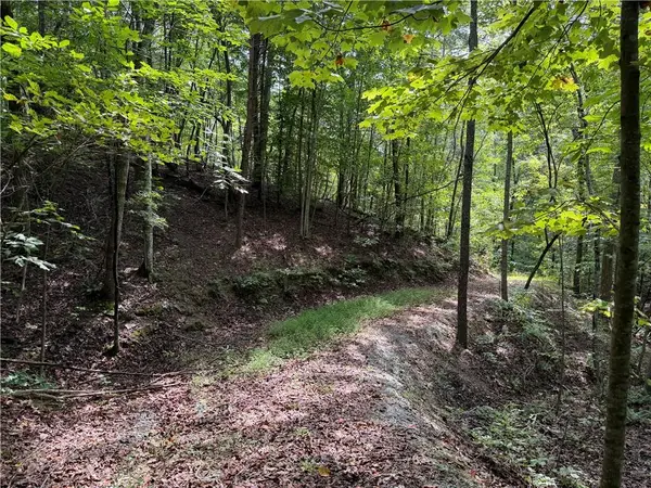 0 Fuller Mountain Road, Fairmount, GA 30139