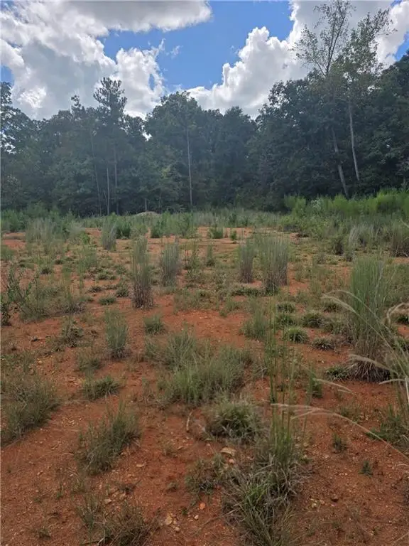 890 Forrester Cemetery Road, Covington, GA 30014 - #1