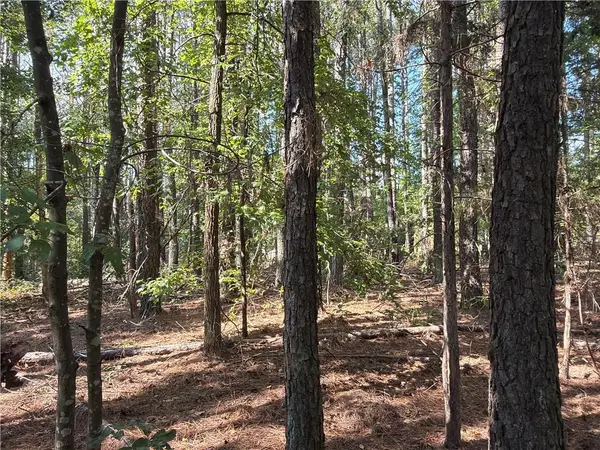 107 Popham Road, Taylorsville, GA 30178