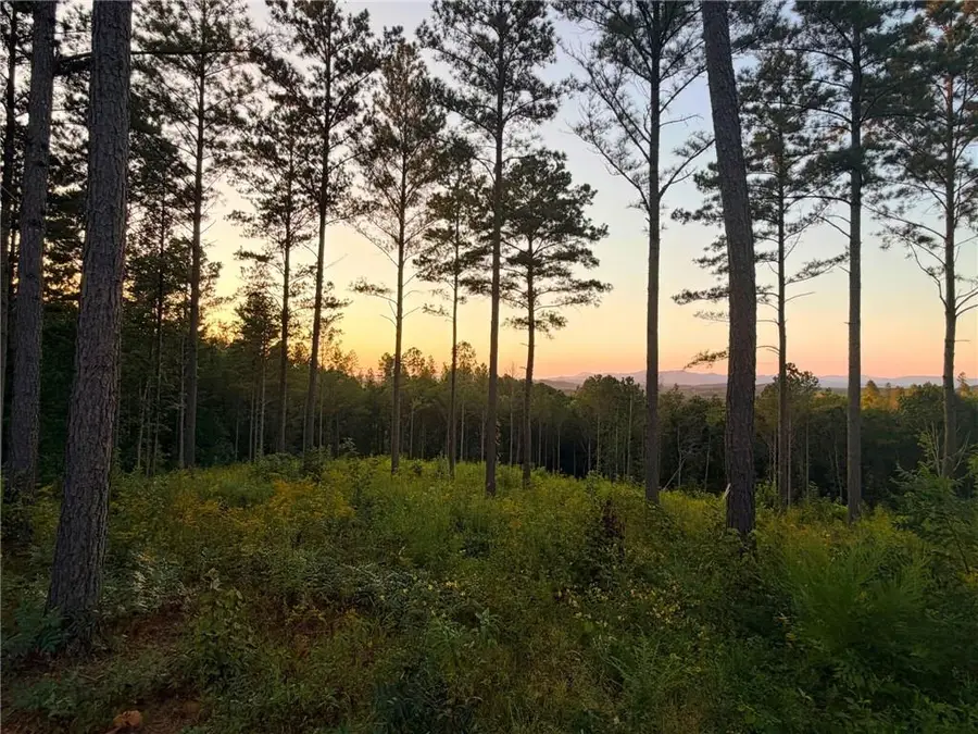0 Lacey Springs Lane, Ellijay, GA 30540 - #2