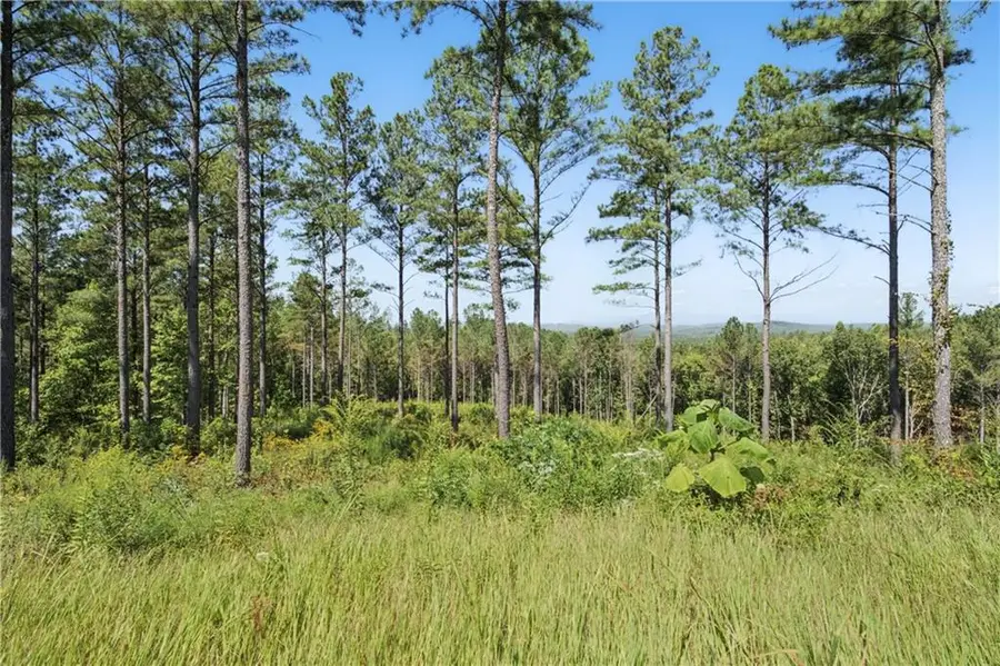 0 Lacey Springs Lane, Ellijay, GA 30540 - #3
