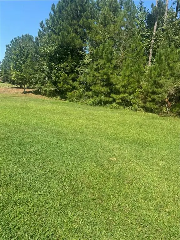 4880 China Berry Drive, Powder Springs, GA 30127 - #2