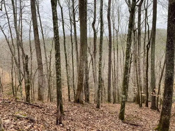 4AC Scenic Way, Ellijay, GA 30540