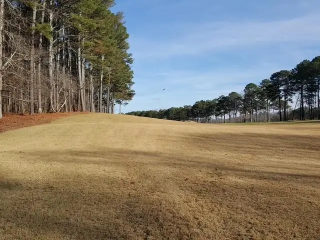 104 Hawks Court, Ball Ground, GA 30107 - #3