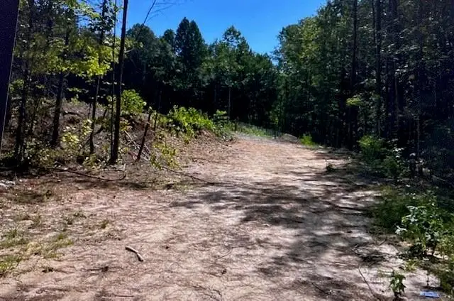 343 Delta Lane, Rockmart, GA 30153 - #1