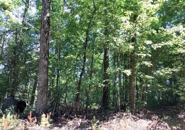 0 William Sluder Road, Ellijay, GA 30540 - #1