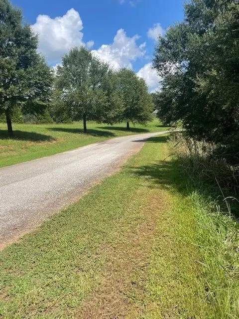 Lot 8 Captains Court, Clarkesville, GA 30523 - #2