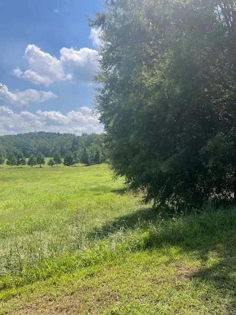 Lot 8 Captains Court, Clarkesville, GA 30523 - #3