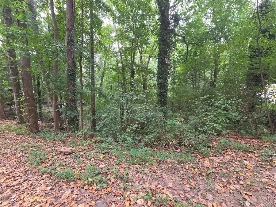 3828 Lance Drive, Flowery Branch, GA 30542 - #2