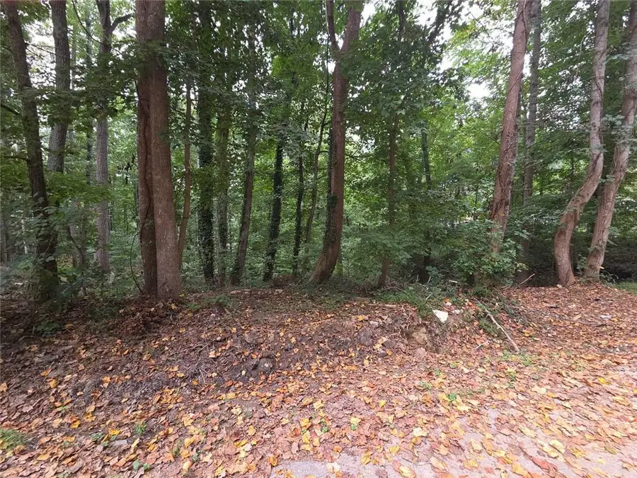 3828 Lance Drive, Flowery Branch, GA 30542 - #3
