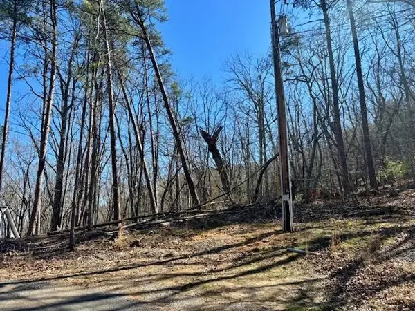 125 Gum Wood Court, Waleska, GA 30183