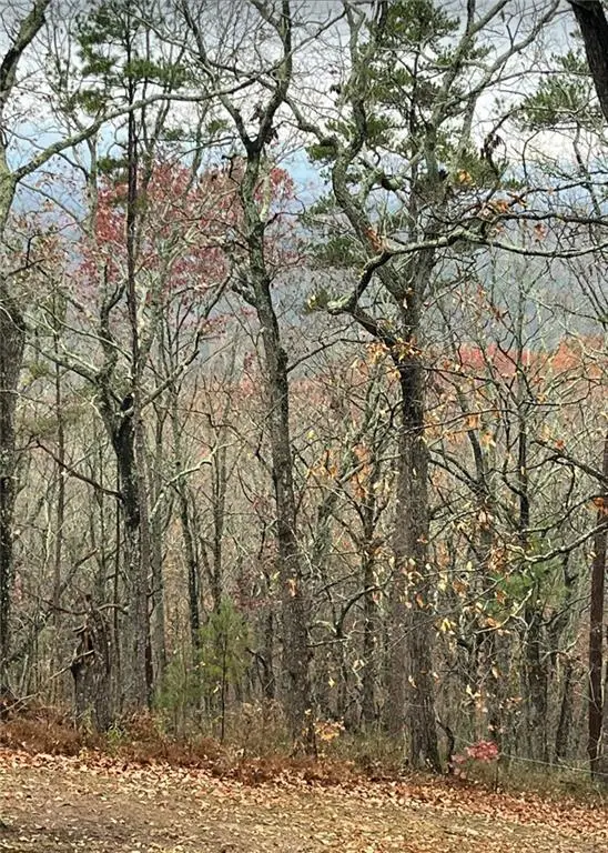 437 Mccurry Trail, Canton, GA 30114 - #2