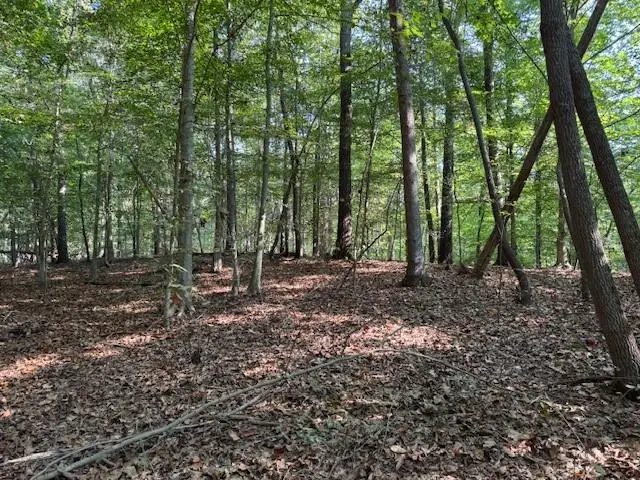 340 Jesse Martin Trail, Canton, GA 30115 - #1