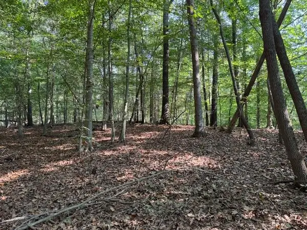 340 Jesse Martin Trail, Canton, GA 30115
