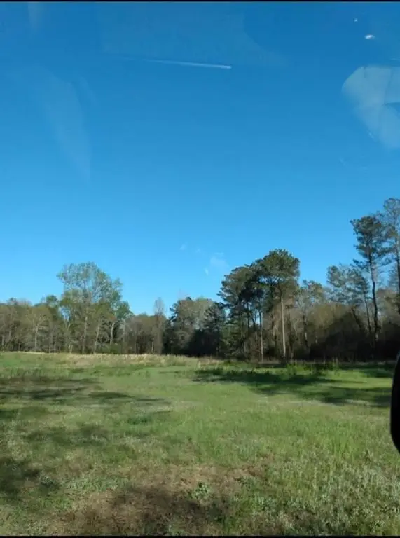 0 Zenith Mill Road, Roberta, GA 31078