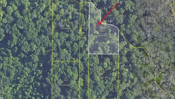 0 Freeman Drive, Stockbridge, GA 30281