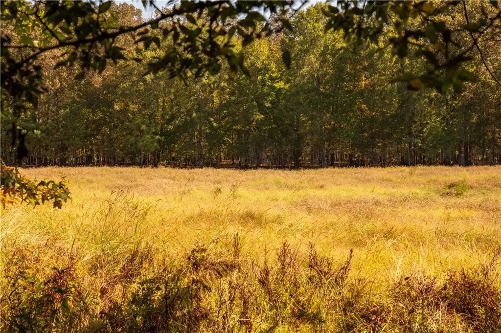 0 Livingston Rd Sw, Rome, GA 30161 - #1