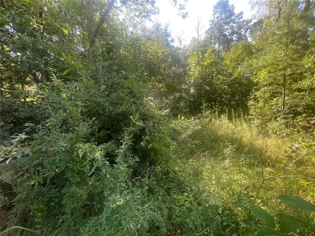 0 Apache Trail, Martin, GA 30557 - #1
