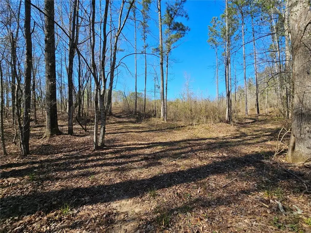 0 Butler Road, Franklin, GA 30217 - #1