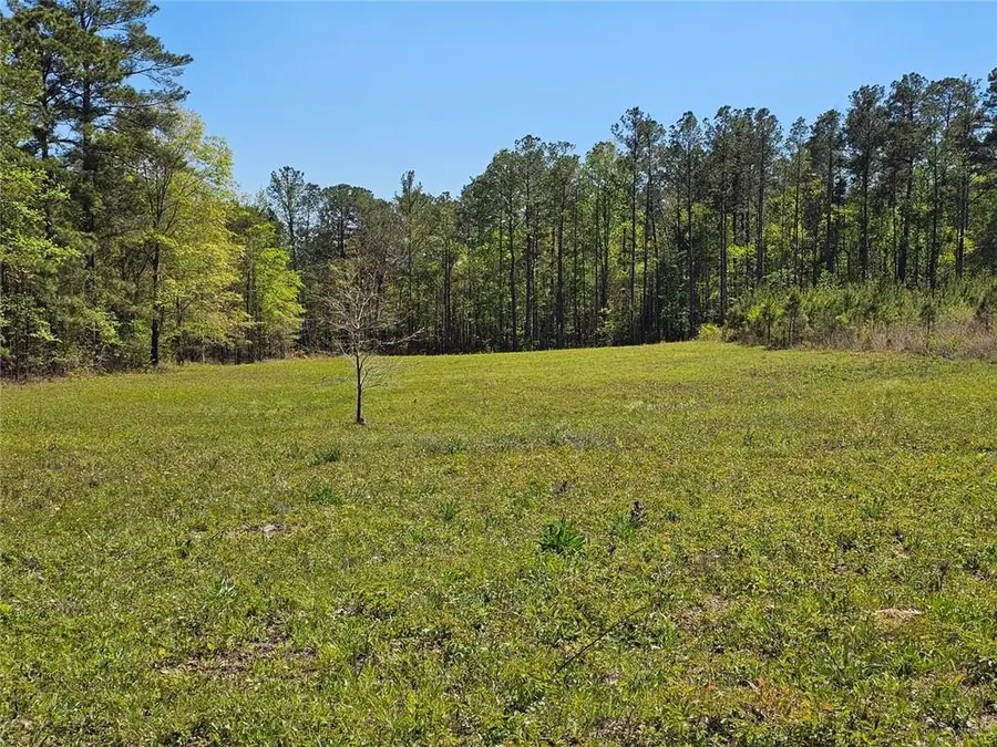 0 Butler Road, Franklin, GA 30217 - #2
