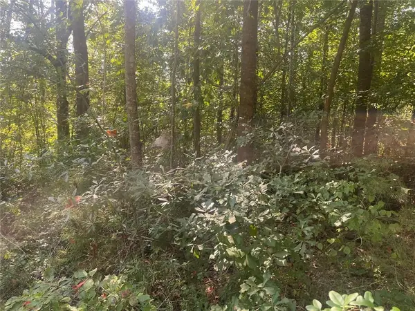 161 Apache Trail, Martin, GA 30557