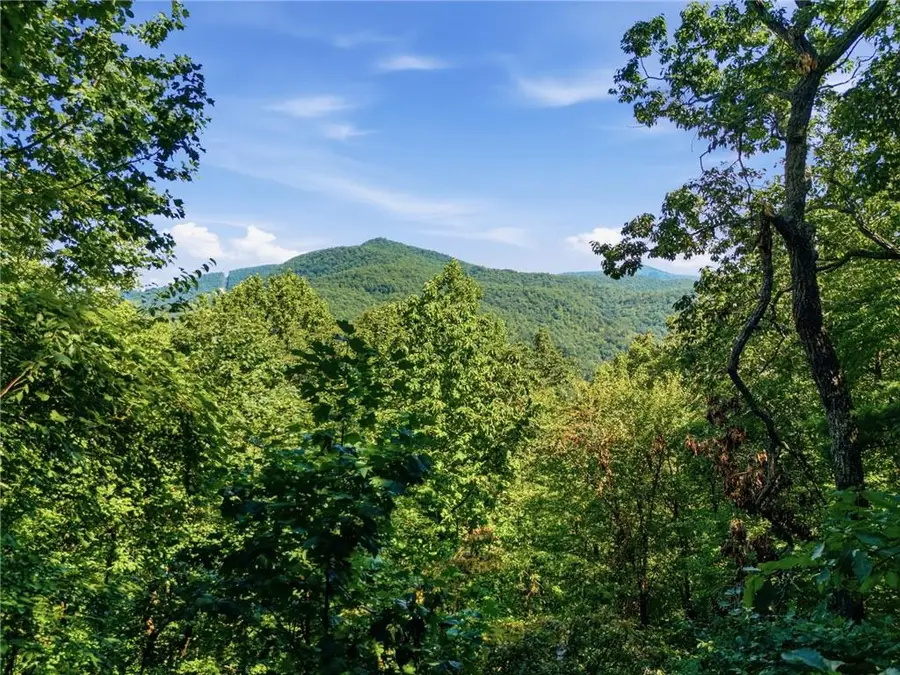 445 Orchid Trail, Clayton, GA 30525 - #2