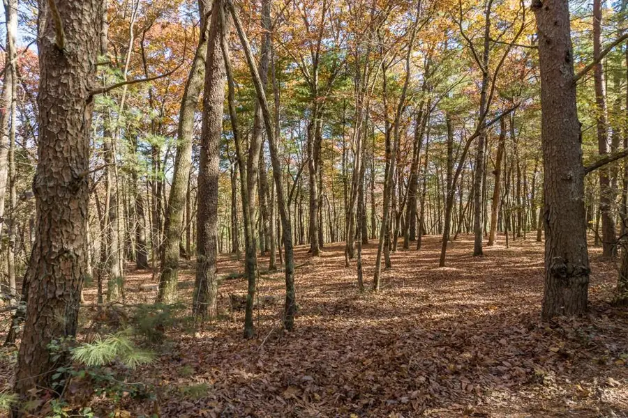 TR 1 Old Anderson Creek, Ellijay, GA 30536 - #3