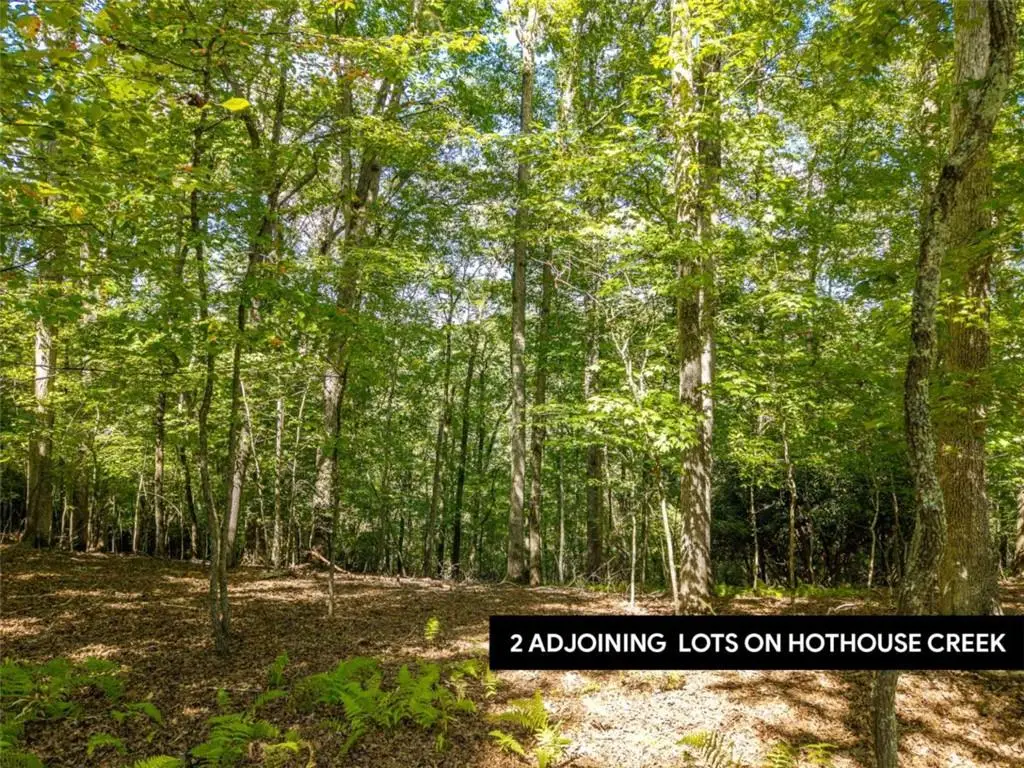 LT 27/ Donna Lee Lane, Mineral Bluff, GA 30559 - #1