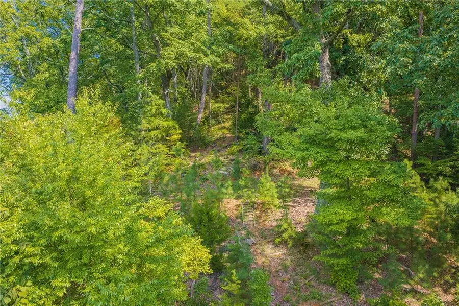 104 Hopewell Drive, Ranger, GA 30734 - #3