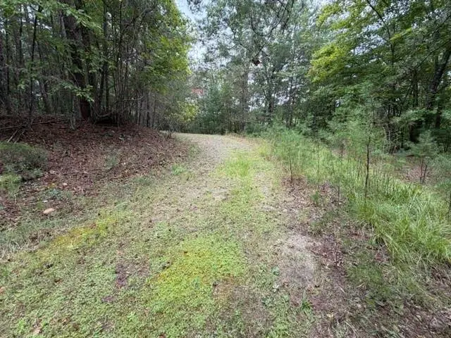 Lot 20 Horseshoe Bend Road, Dahlonega, GA 30533 - #3
