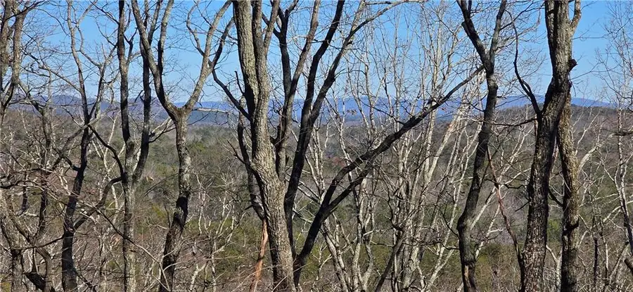 877 Lake Arrowhead Drive, Waleska, GA 30183 - #2