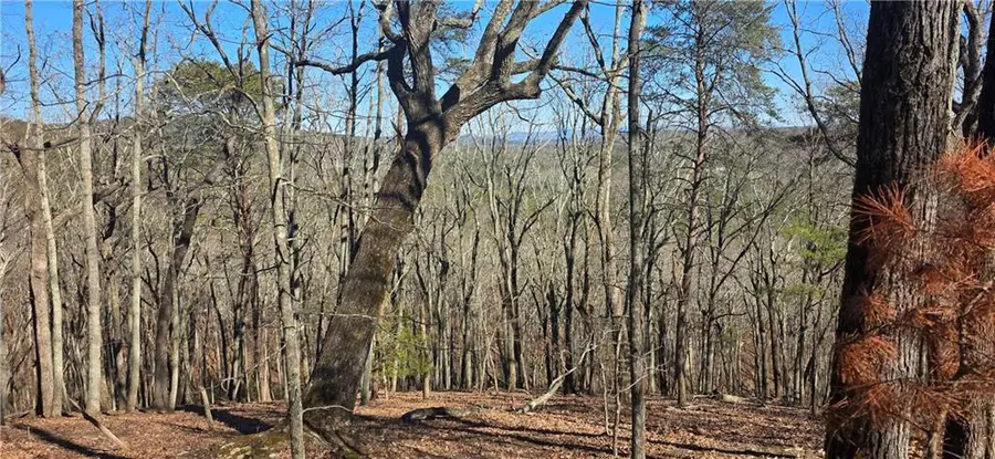 877 Lake Arrowhead Drive, Waleska, GA 30183 - #3