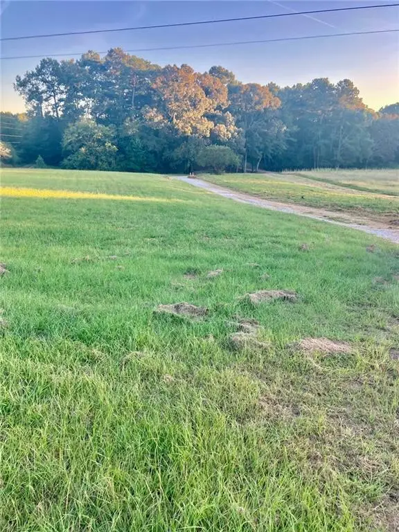 9090 Wilkerson Mill Road, Palmetto, GA 30268 - #3