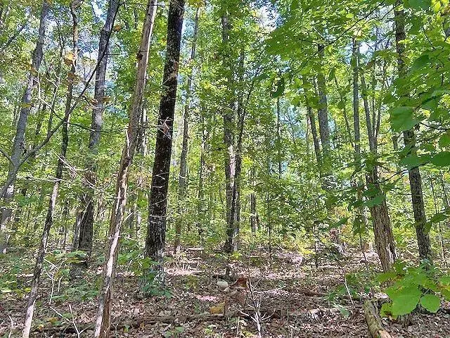 0 Piney Spur Road, Ellijay, GA 30536 - #3