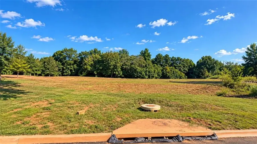 8005 Grand Meadow Run, Gainesville, GA 30506 - #3