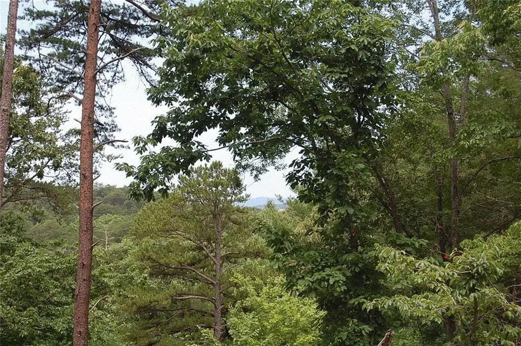 384 Back Pine Way, Ellijay, GA 30540 - #1