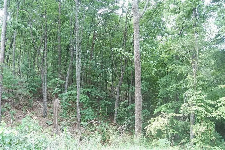 384 Back Pine Way, Ellijay, GA 30540 - #2