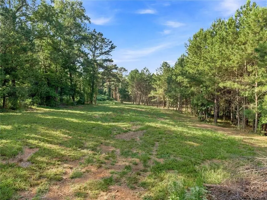 283 Leo Taylor Lane, Ball Ground, GA 30107 - #2