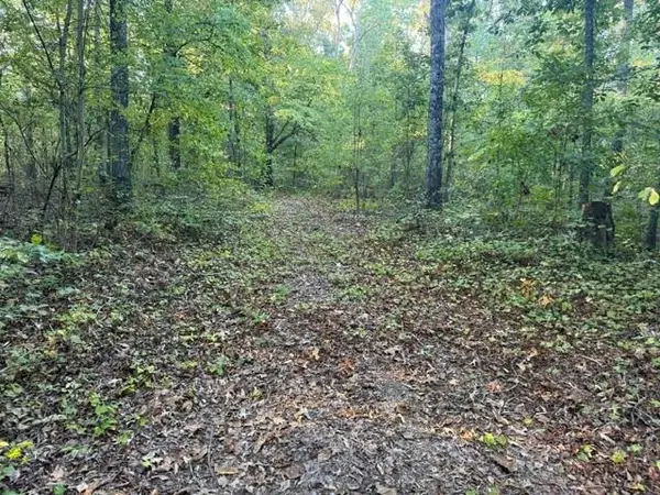 0 Owensby Lane, Adairsville, GA 30103