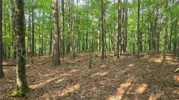 2 Lucas Lane, Dallas, GA 30132
