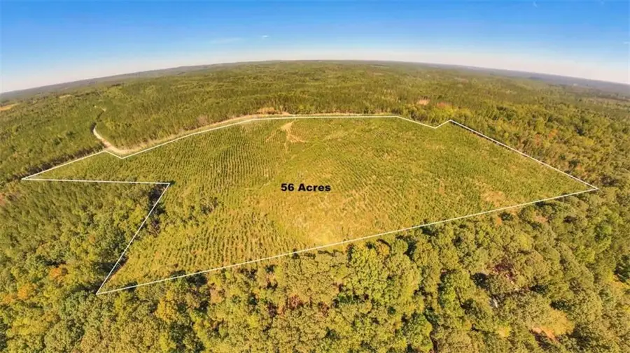 0 Hutcheson Ferry Road, Whitesburg, GA 30185 - #2