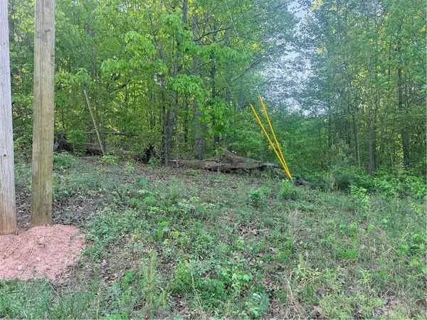 0000 Mountain View Circle, Bremen, GA 30110