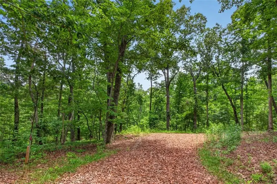 2022 Pleasant Union Road, Canton, GA 30114 - #2