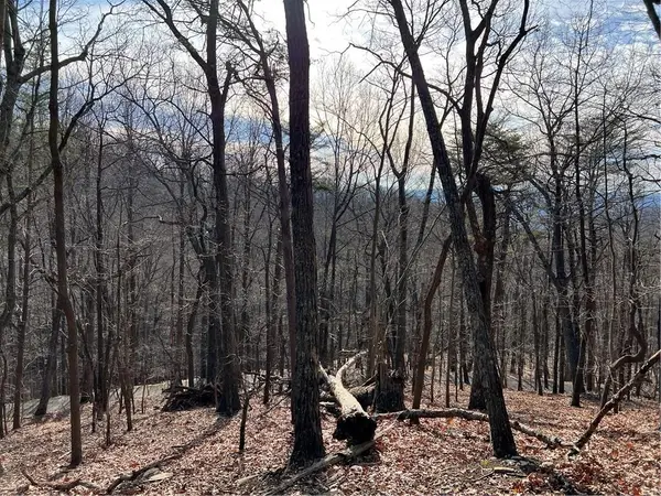 4528 Sassafras Mountain Trail, Jasper, GA 30143