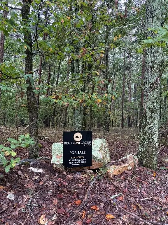 0 Quartz Court, Jasper, GA 30143 - #1