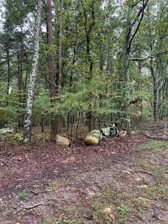 0 Quartz Court, Jasper, GA 30143 - #2