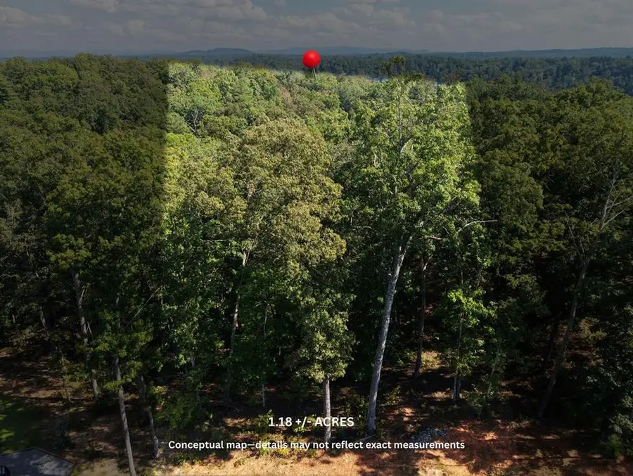 21 Lake Top Lane, Ellijay, GA 30536 - #2
